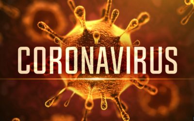 What to Make of the Corona Virus Impact