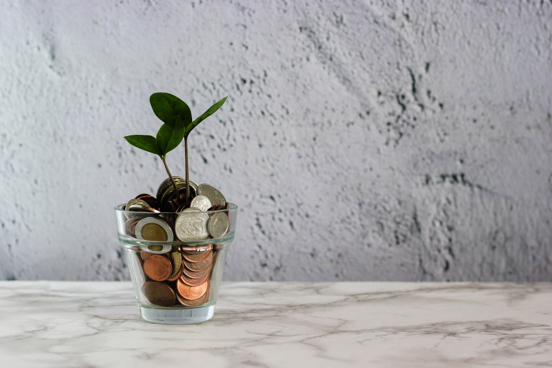 visual-stories-micheile-f030K9IzpcM-unsplash