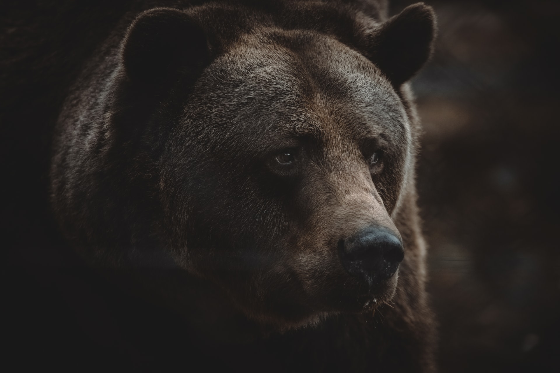andy-holmes-7blhgOFY_O8-unsplash