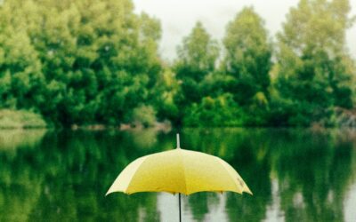 Do I Need Umbrella Insurance?