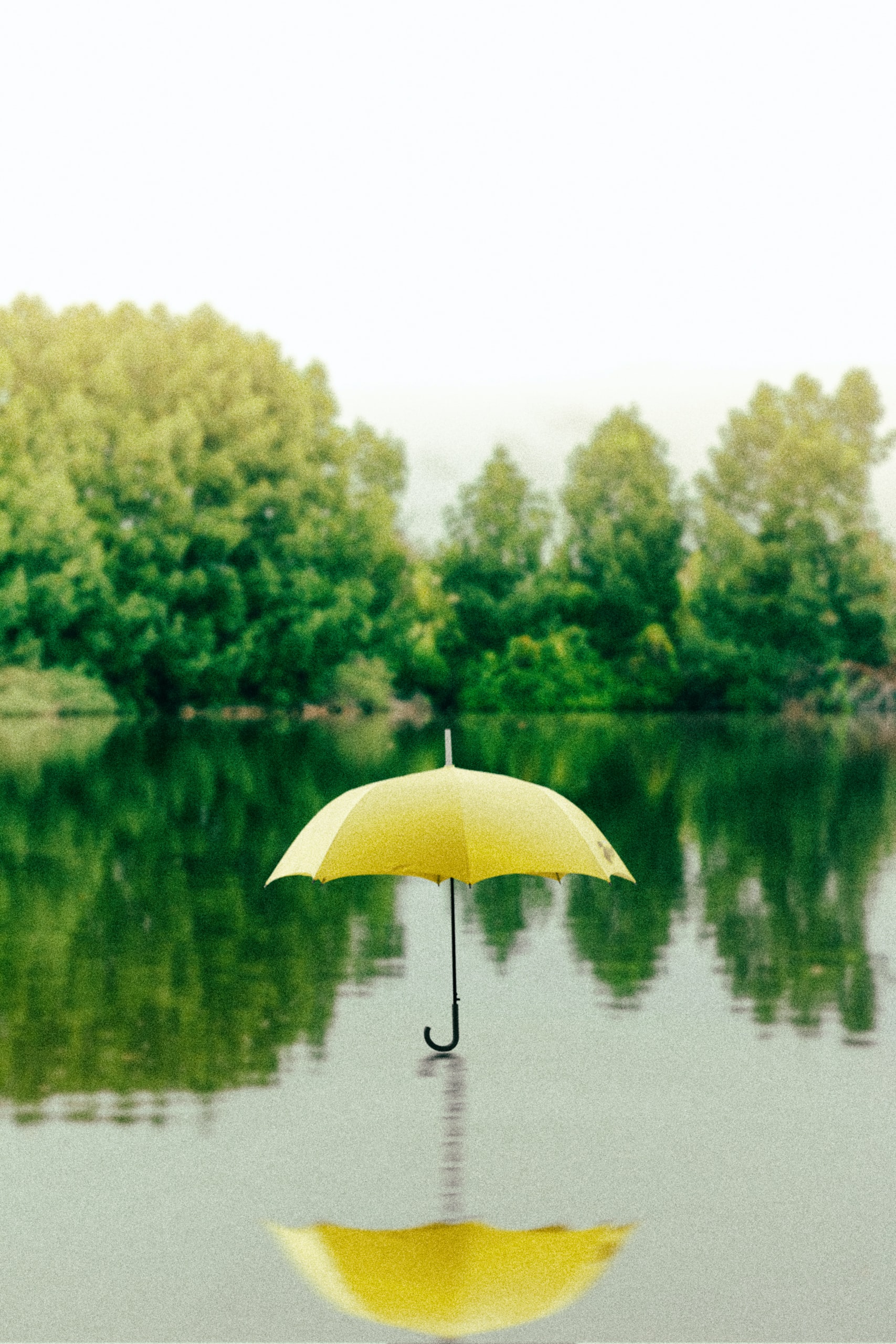 umbrella 2-10
