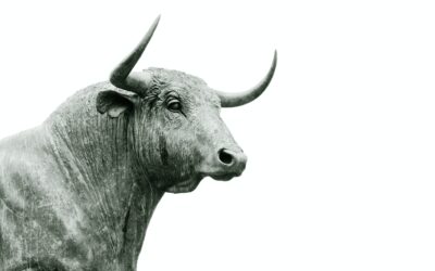 Should we be Bullish for the 2nd Half of 2023?